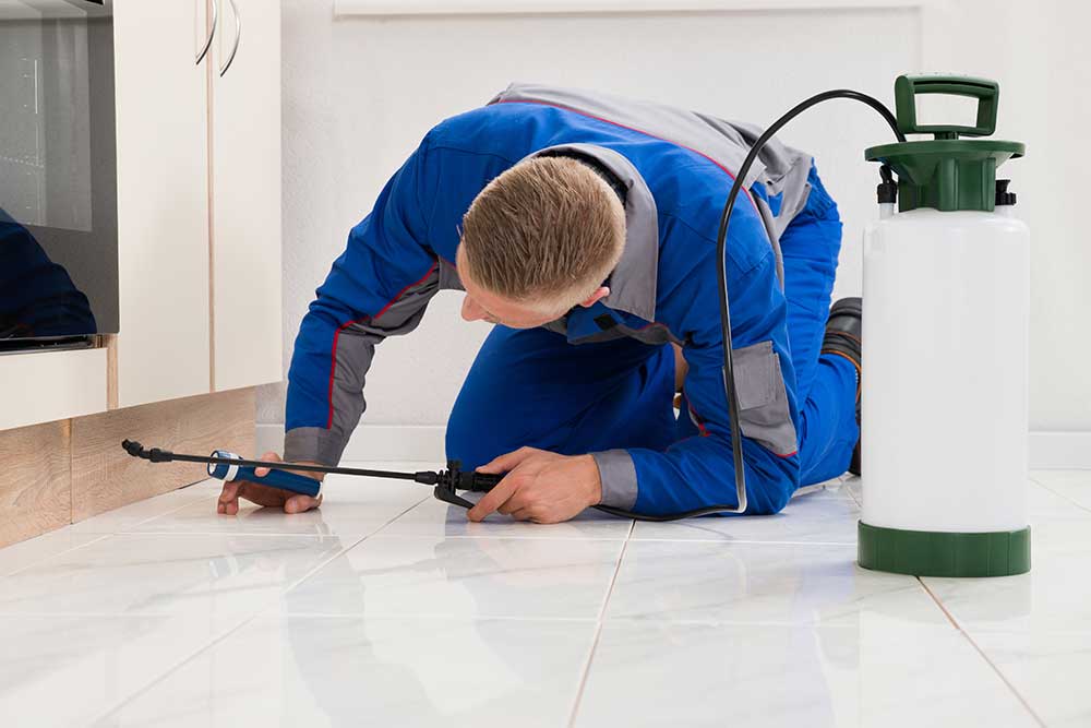 how to become a pest control exterminator