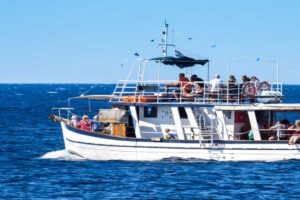 how to become a motorboat operator